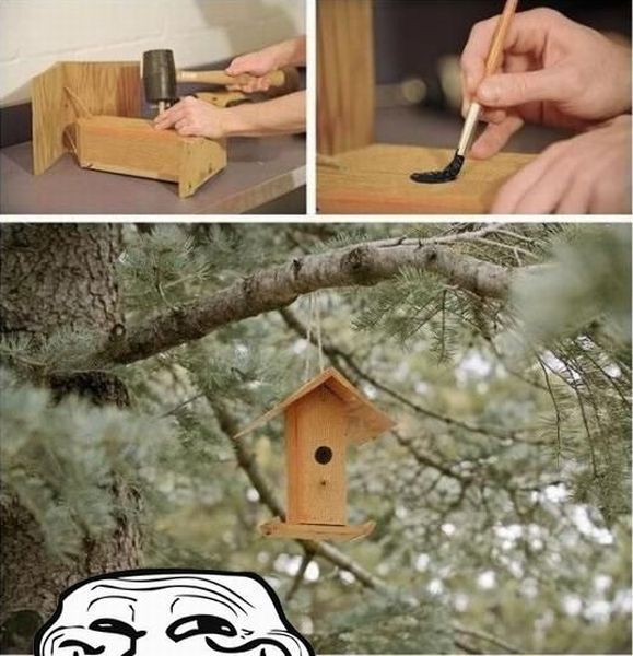 Daily picdump