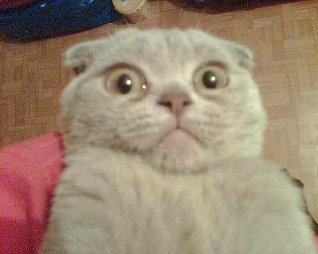 I Was Like