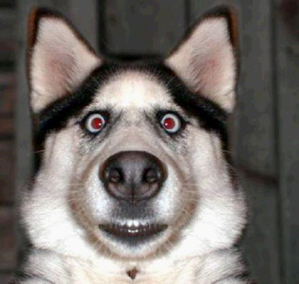 I Was Like