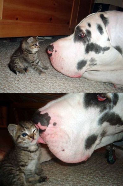 Daily picdump [WEEKEND EDITION]