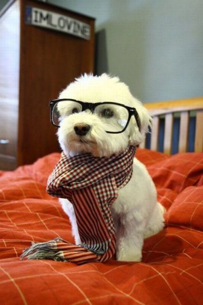 Daily picdump [WEEKEND EDITION]