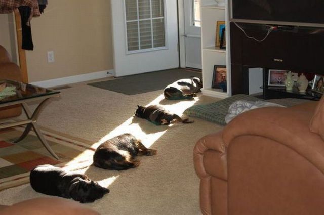 Daily picdump