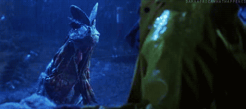 Friday Gif Selection