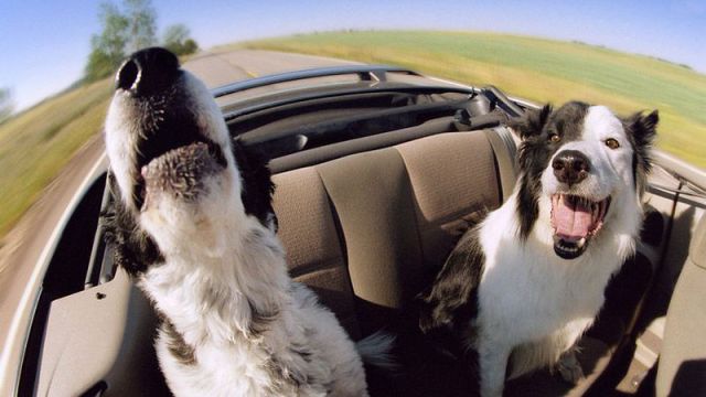 Daily picdump