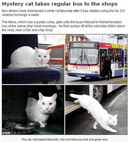 Daily picdump