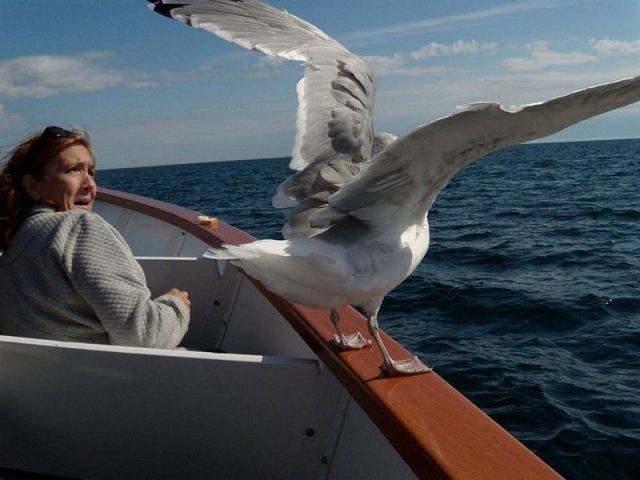 Daily picdump