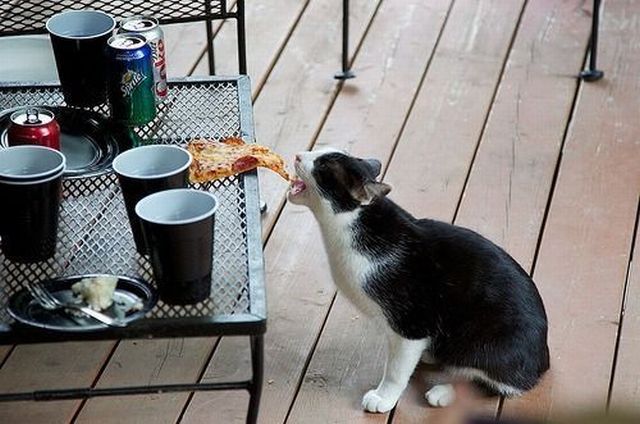 Daily picdump