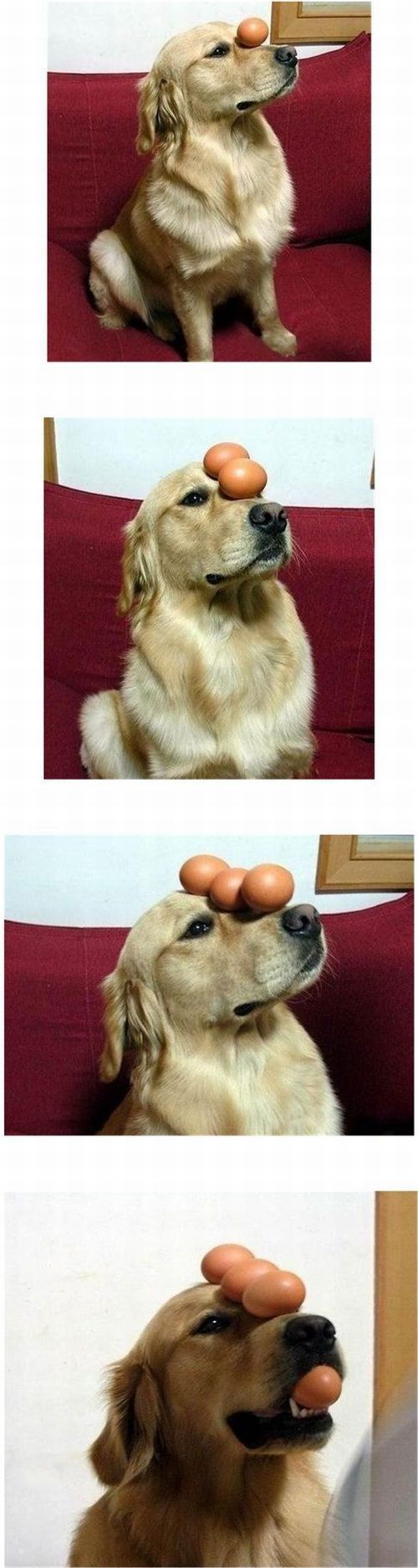Daily picdump