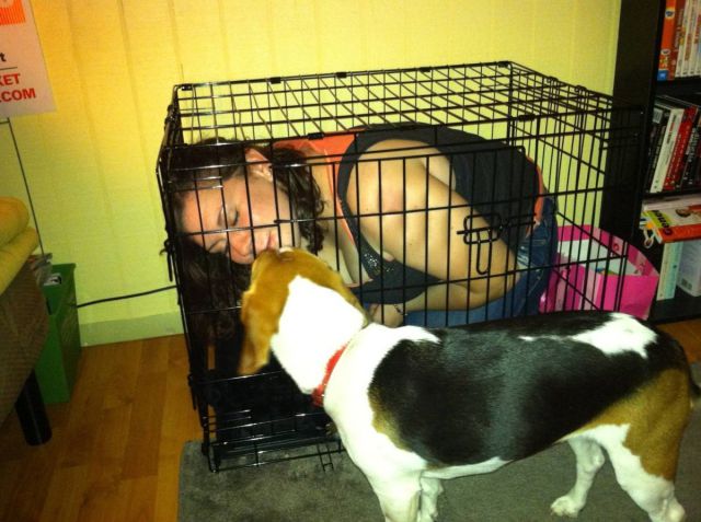 Daily picdump