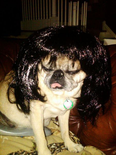 Daily picdump