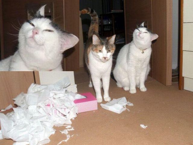 Daily picdump
