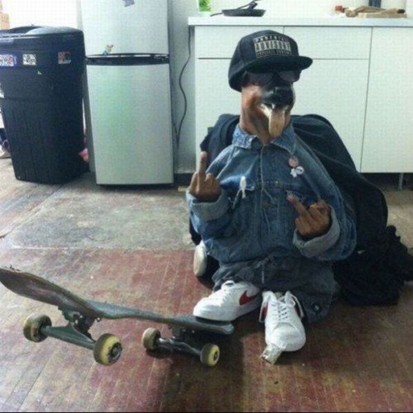 Daily picdump