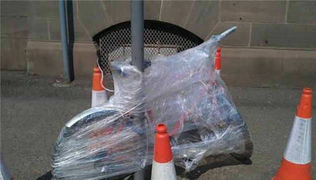 Daily picdump