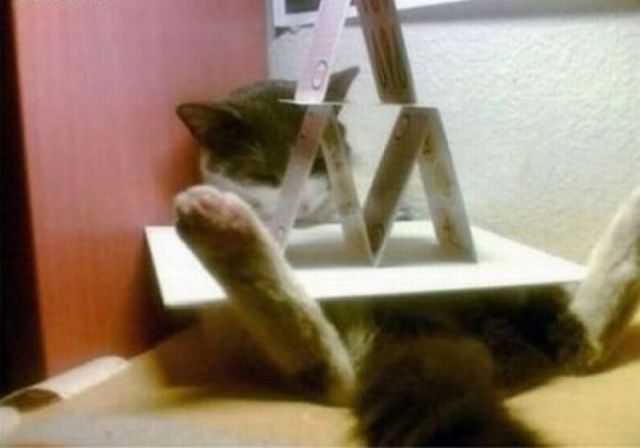 Daily picdump