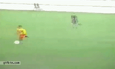 Friday Gif Collection