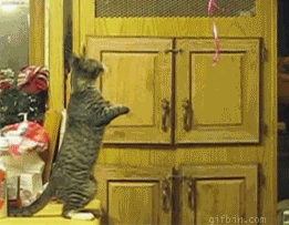 Friday Gif Collection