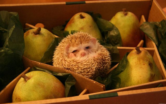 Daily picdump [WEEKEND EDITION]