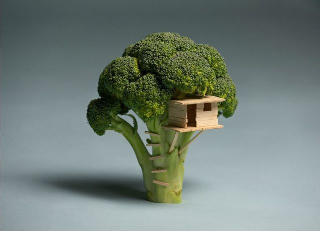 Daily picdump [WEEKEND EDITION]