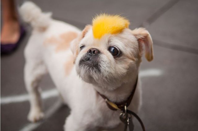 Daily picdump [WEEKEND EDITION]