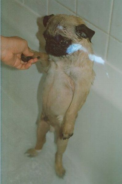 Daily picdump