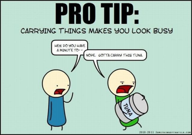 Daily picdump