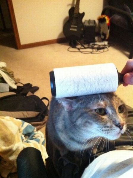 Daily picdump