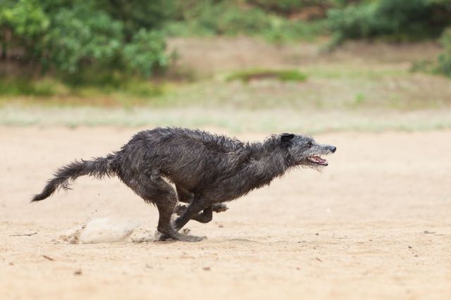 Daily picdump [WEEKEND EDITION]