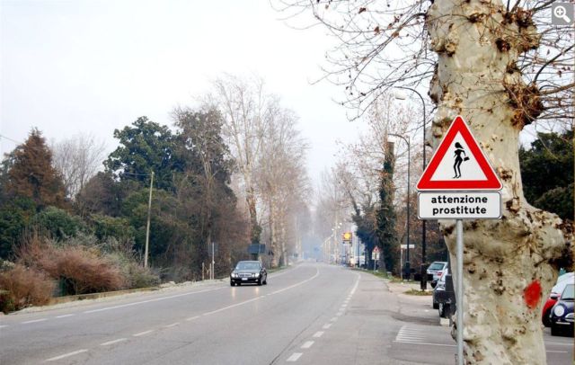 Daily picdump [WEEKEND EDITION]