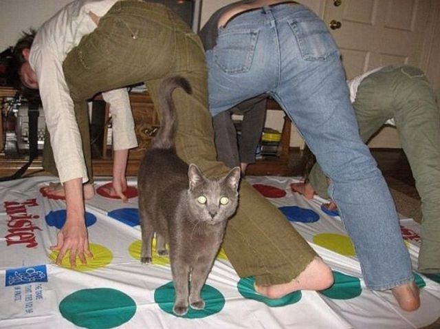 Daily picdump