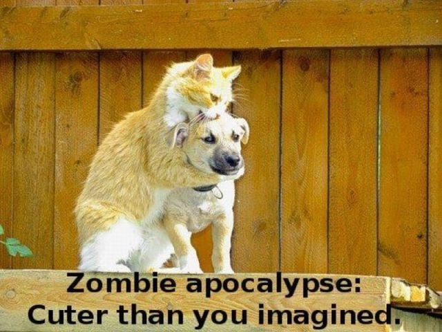 Daily picdump