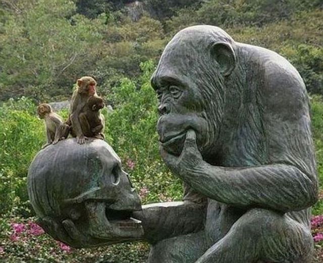 Daily picdump