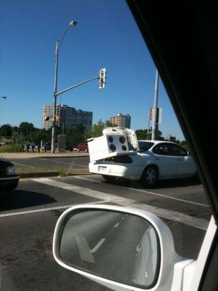 Daily picdump