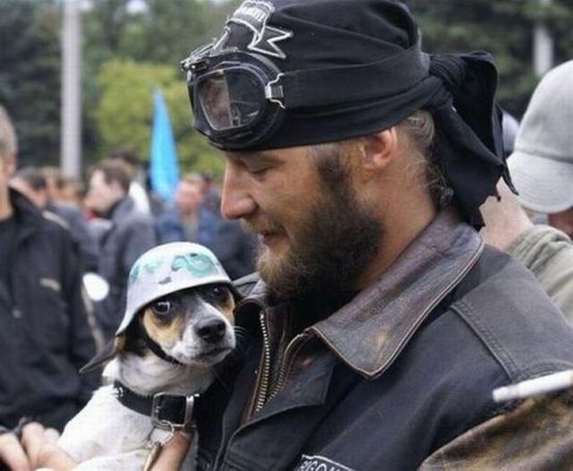 Daily picdump