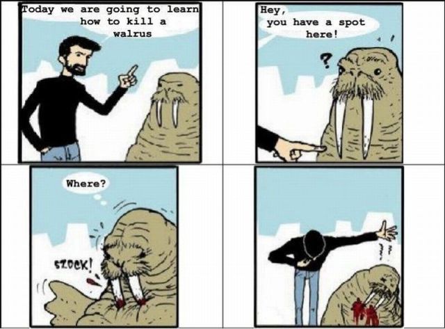 Daily picdump