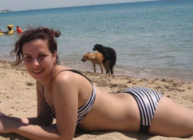Daily picdump