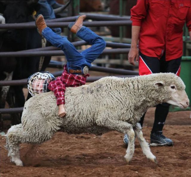 Daily picdump