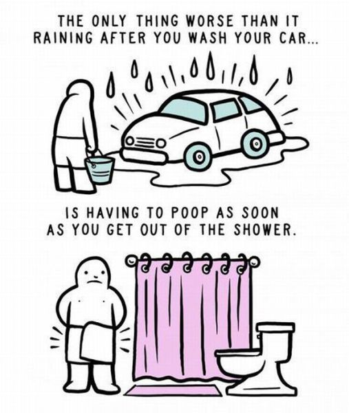Daily picdump
