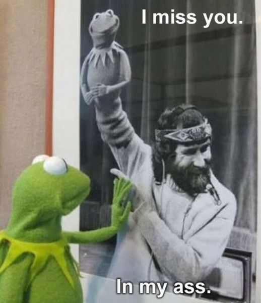 Daily picdump