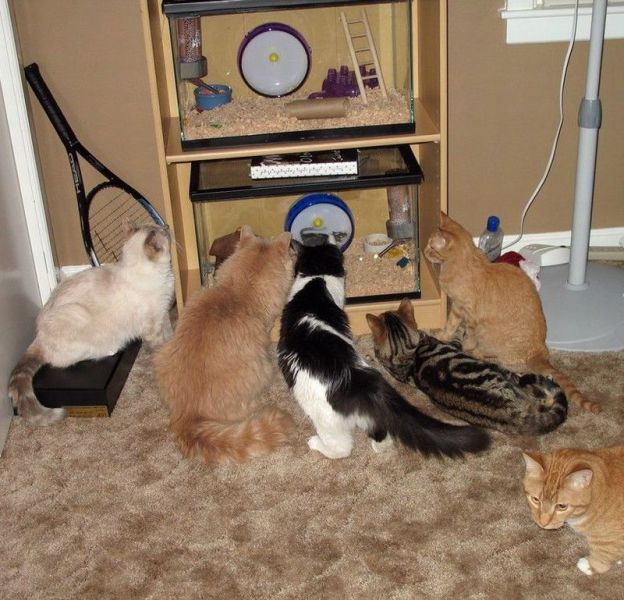 Daily picdump