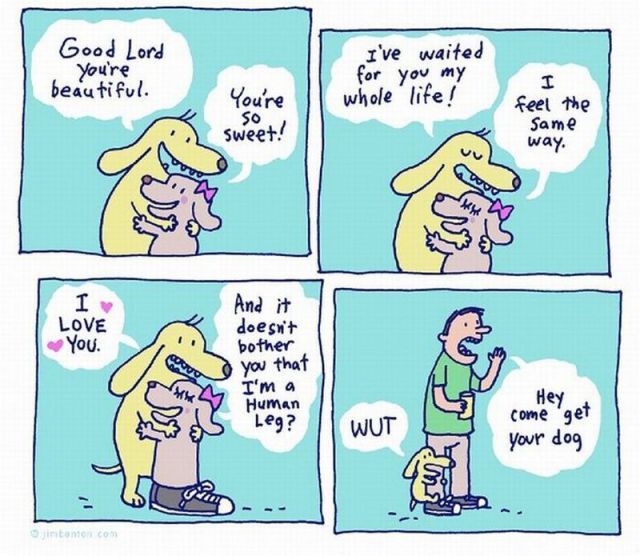 Daily picdump