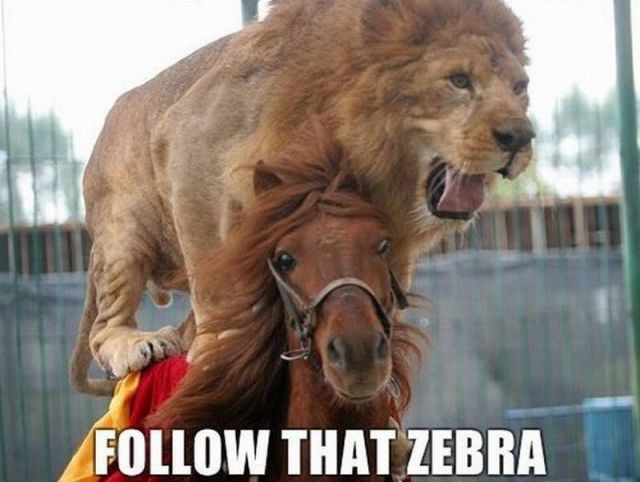 Daily picdump