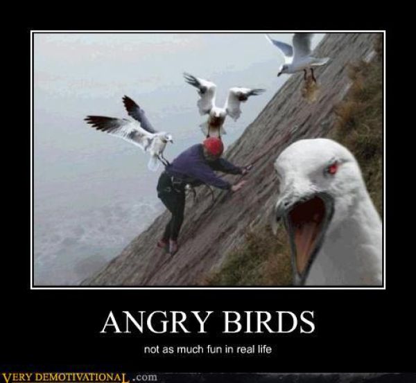 Funny Demotivational Posters. Part 27
