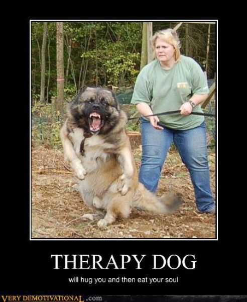 Funny Demotivational Posters. Part 27