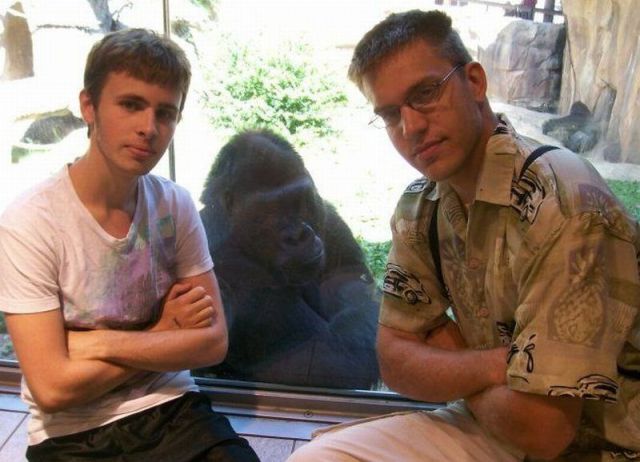 Daily picdump