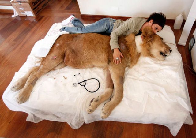 Daily picdump