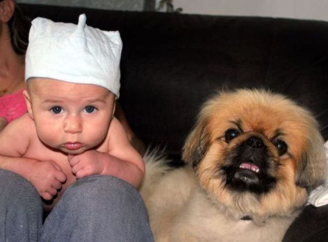 Daily picdump