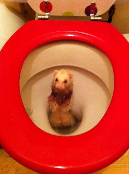 Daily picdump