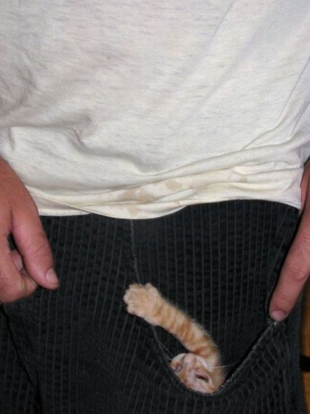 Daily Picdump