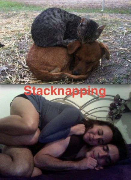 Daily Picdump