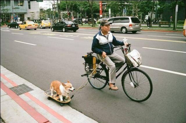 Morning Picdump
